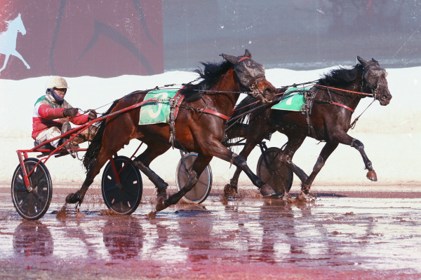  Бега на Казанском ипподроме